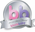 BB awards logo silver